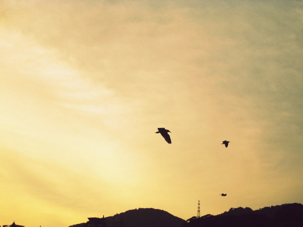 cm20130721_144431_61158_0cda61306d78568f