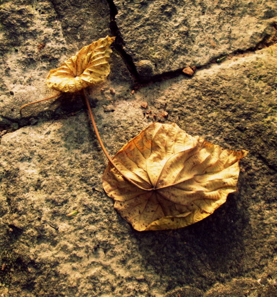 cm20130720_144431_61158_c1ffe4dc48f517b2