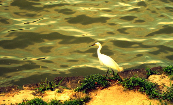 cm20130720_144431_61158_050eccd3db22fb2f