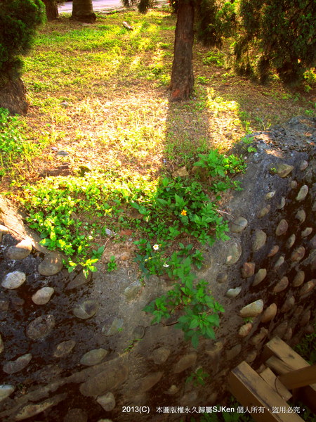 cm20130720_144431_61158_584758de447215ba