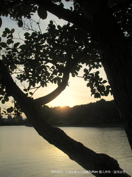 cm20130721_144431_61158_021dc587041868ac