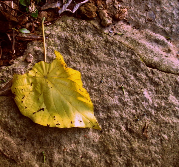 cm20130720_144431_61158_e6ad51917e981492