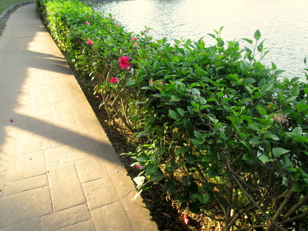 cm20130720_144431_61158_8a1e87273b378446