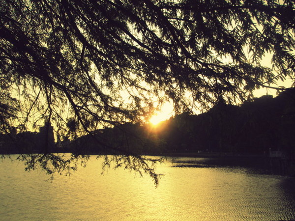 cm20130721_144431_61158_b77b62810ea30d87