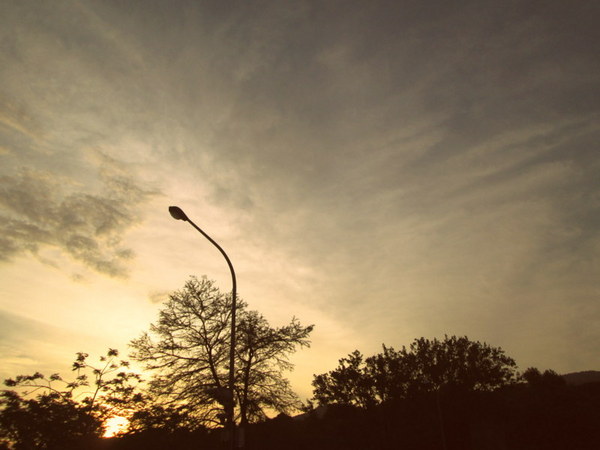 cm20130721_144431_61158_a1dcc74adcf67b49