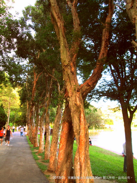 cm20130720_144431_61158_fb95acba41fb9b1a