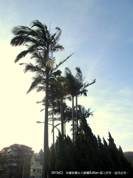 cm20130720_144431_61158_4a00d15830b752ab