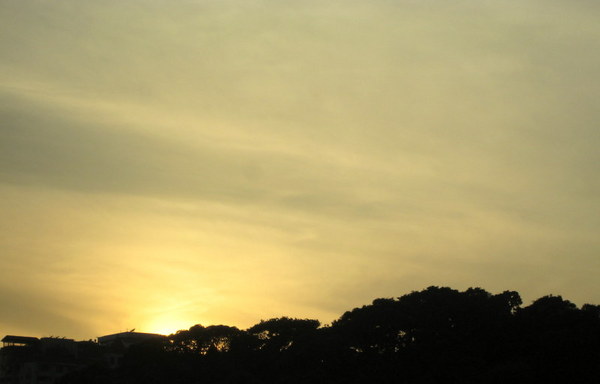 cm20130721_144431_61158_377ea68476967c7c