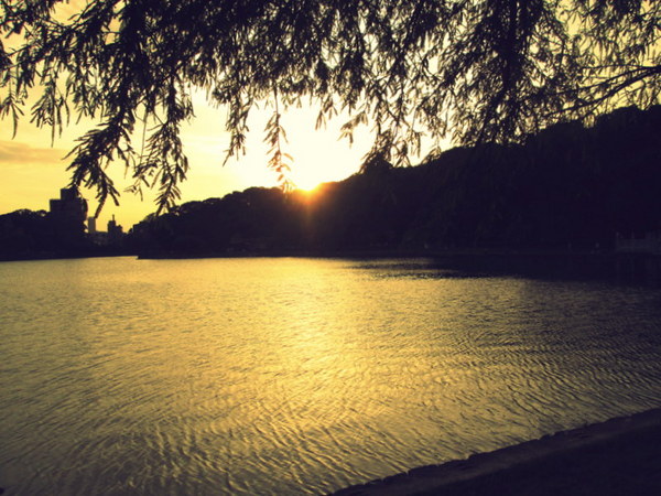 cm20130721_144431_61158_ae0d9eab064613b2