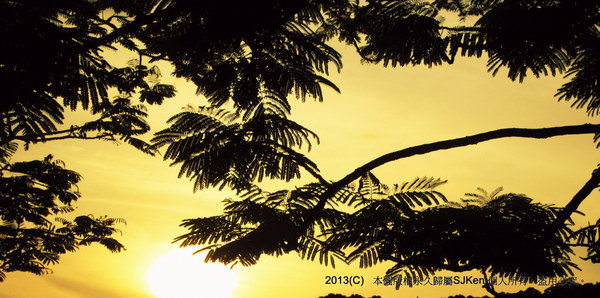 cm20130721_144431_61158_d9d477dc835af58b