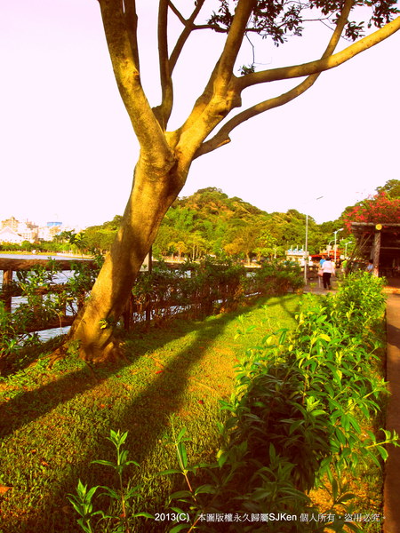 cm20130720_144431_61158_d9f9d87d139fa2bf