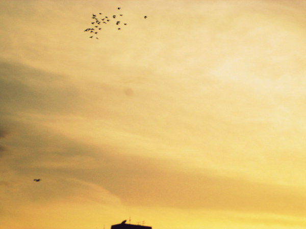 cm20130721_144431_61158_a626c3cc110256d2