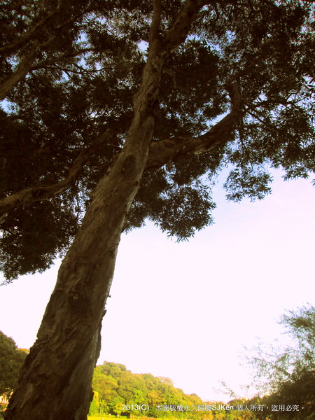 cm20130720_144431_61158_417dd79782f9fb39