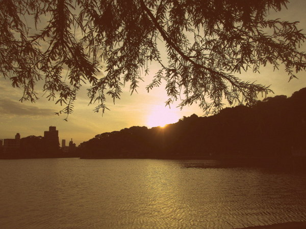 cm20130721_144431_61158_81ef2dd219e1dc81