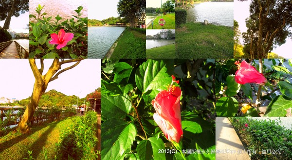 cm20130720_144431_61158_d725c95828e620f4