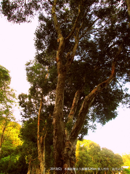 cm20130720_144431_61158_1a4f65612f4ae3b6