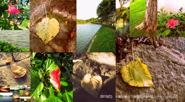 cm20130720_144431_61158_f40ec5fd00515399