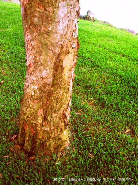 cm20130720_144431_61158_16b8ab154d5960d8