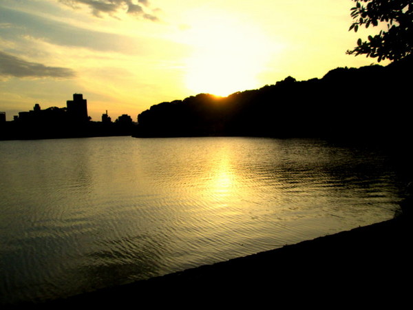 cm20130721_144431_61158_332d55115c0c550b