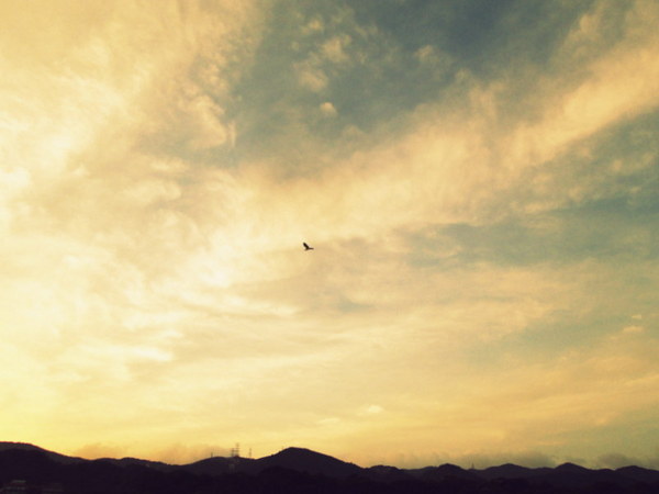 cm20130721_144431_61158_7ebe47e8e326410a