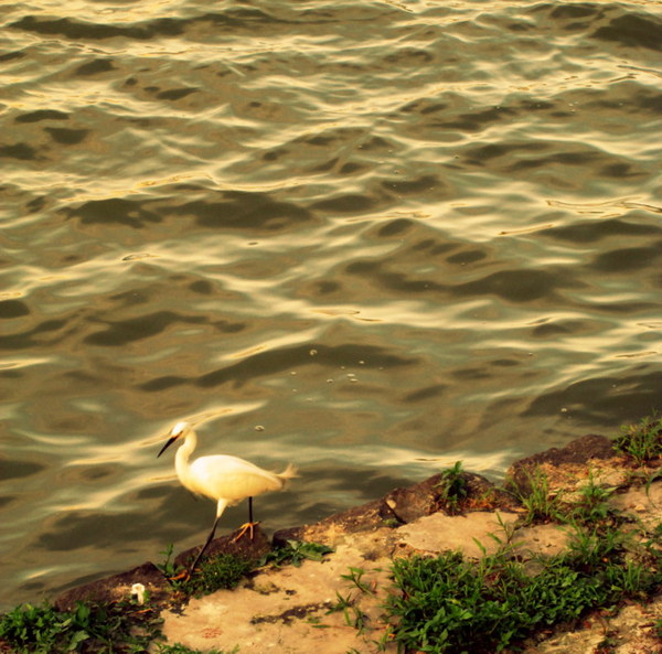 cm20130720_144431_61158_d3bbd899f7f4abbc