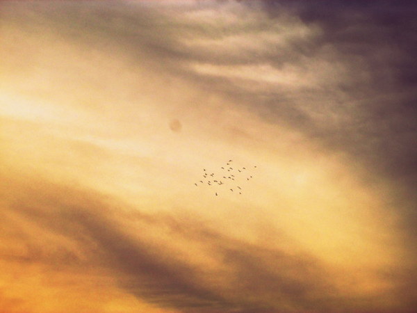 cm20130721_144431_61158_351b61c90ad30ebe