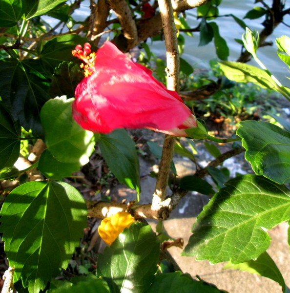 cm20130720_144431_61158_9be22e9ddf06ab7f