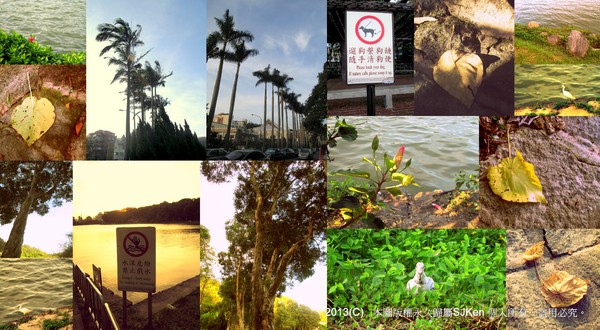 cm20130721_144431_61158_465bf0a57d6c4c6b