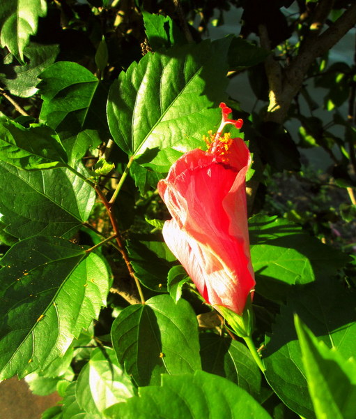 cm20130720_144431_61158_eaa2af68a2224df2