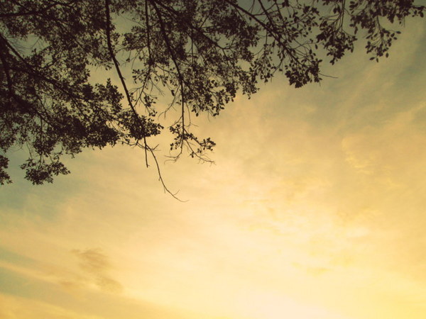 cm20130721_144431_61158_83c92ff59060defa