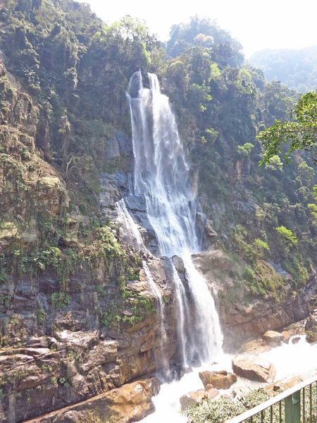 【台北旅遊】烏來老街、新店碧潭台北一日遊