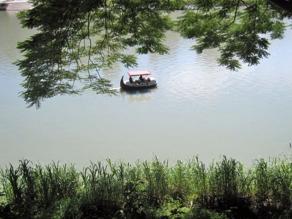 碧潭:新店碧潭 - 和美山步道:輕鬆賞景步道