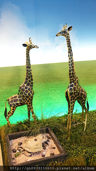 白木屋品牌文化館:白木屋品牌文化館