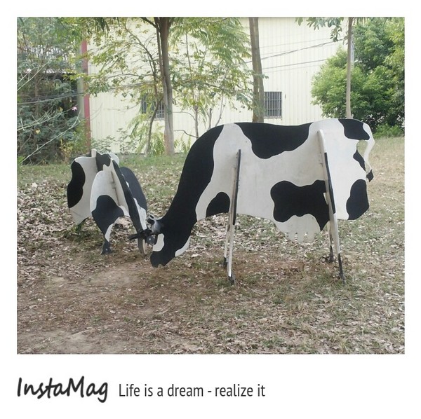 日月山景休閒農場:日月山景休閒農場