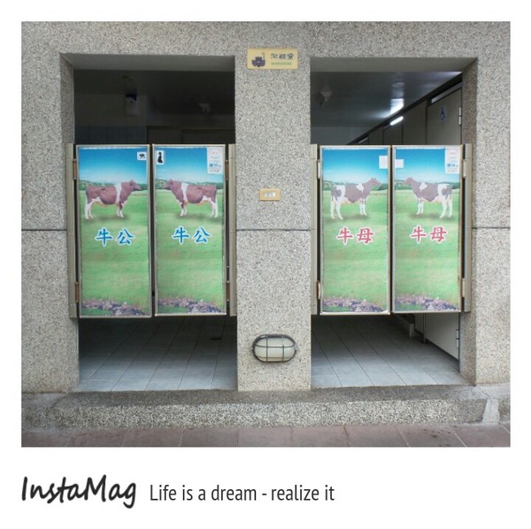 日月山景休閒農場:日月山景休閒農場