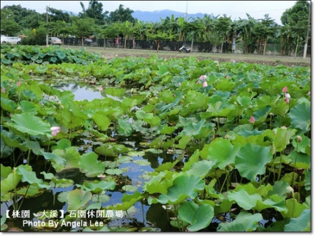 石園農場:【桃園.大溪】多元化的親子同樂天地《石園農場》戲水趣~