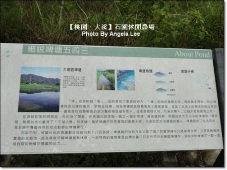 石園農場:【桃園.大溪】多元化的親子同樂天地《石園農場》戲水趣~