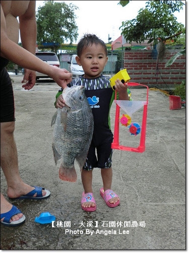 石園農場:【桃園.大溪】多元化的親子同樂天地《石園農場》戲水趣~