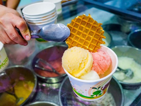 【桃園冰店】貓屋冰館-跟你玩躲貓貓,找得到才吃得到的極品冰霜.純手工冰霜/巷弄隱藏美食/桃園龜山美食小吃