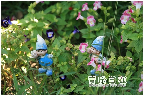 青松自在:※苗栗。【青松自在】