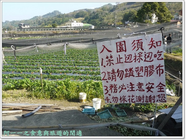花間集:苗栗 大湖酒莊 草莓香腸&花間集 草莓奶昔~春日採草莓去