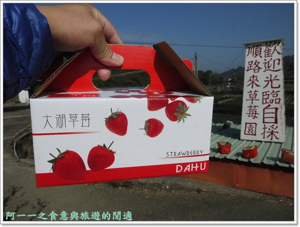 花間集:苗栗 大湖酒莊 草莓香腸&花間集 草莓奶昔~春日採草莓去