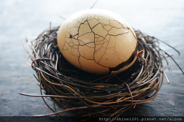 【苗栗景觀餐廳】鐘鼎山林.薑蔴園觀雲霧景觀餐廳.苗栗景點推薦