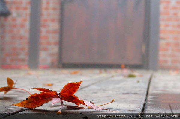 【苗栗景觀餐廳】鐘鼎山林.薑蔴園觀雲霧景觀餐廳.苗栗景點推薦