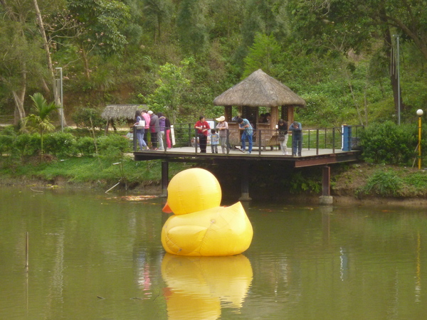 竹南懷舊肉粽:【苗栗竹南】十二寮風景區,在湖畔吃肉粽配咖啡-懷舊湖畔