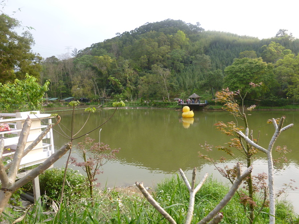 竹南懷舊肉粽:【苗栗竹南】十二寮風景區,在湖畔吃肉粽配咖啡-懷舊湖畔