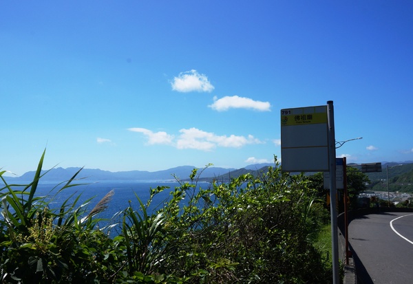 龍洞灣岬步道：<台灣步道> 東北角.龍洞灣岬步道-與海為鄰的壯闊視野