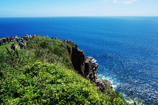 龍洞灣岬步道：<台灣步道> 東北角.龍洞灣岬步道-與海為鄰的壯闊視野