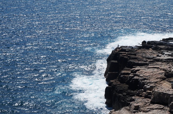 龍洞灣岬步道：<台灣步道> 東北角.龍洞灣岬步道-與海為鄰的壯闊視野