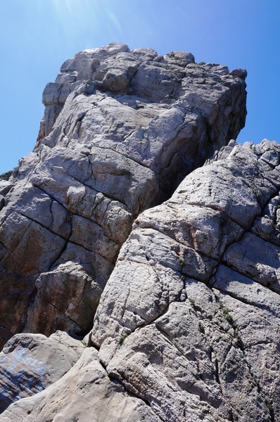 龍洞灣岬步道：<台灣步道> 東北角.龍洞灣岬步道-與海為鄰的壯闊視野